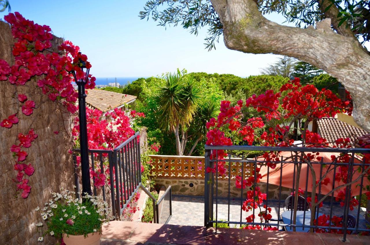Arts House - Cabrils, Maresme, Barcelona Apartment Ngoại thất bức ảnh