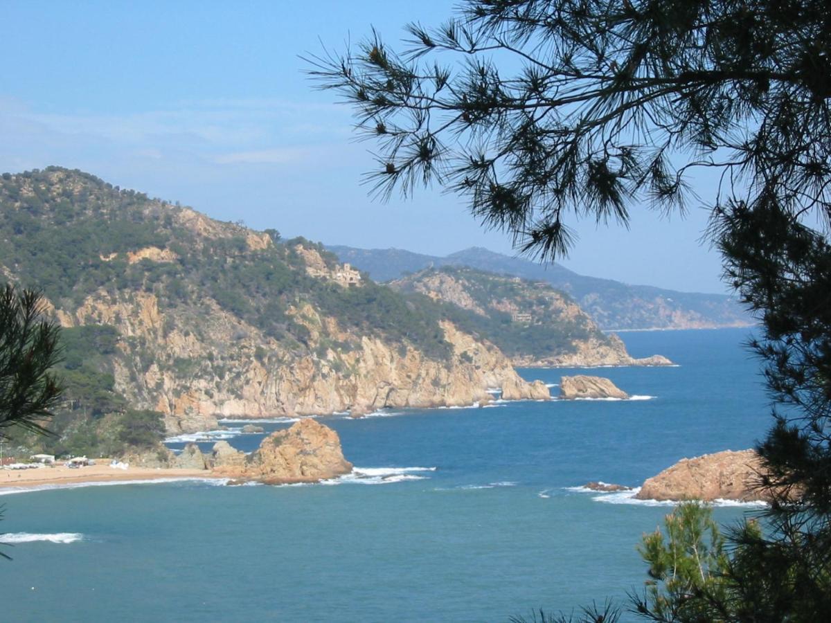 Arts House - Cabrils, Maresme, Barcelona Apartment Ngoại thất bức ảnh